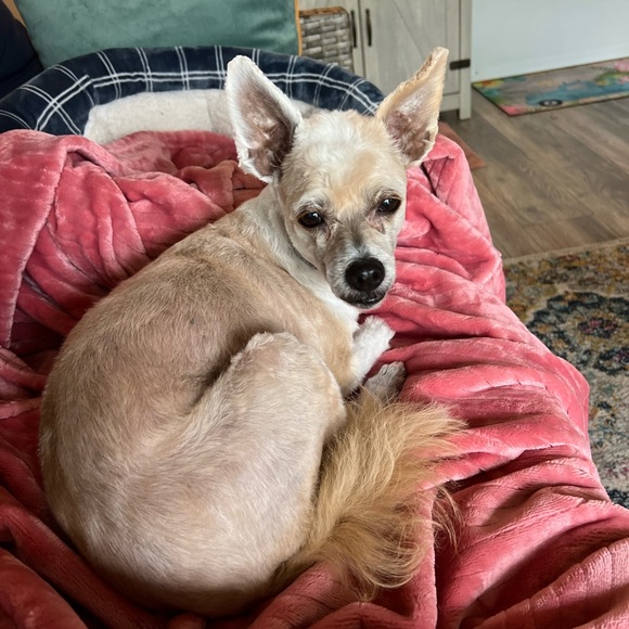 SHOP ON! - Picture 6 of 6